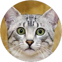 Gilles ARBET profile picture