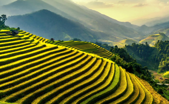 Voyage_philippines_palab