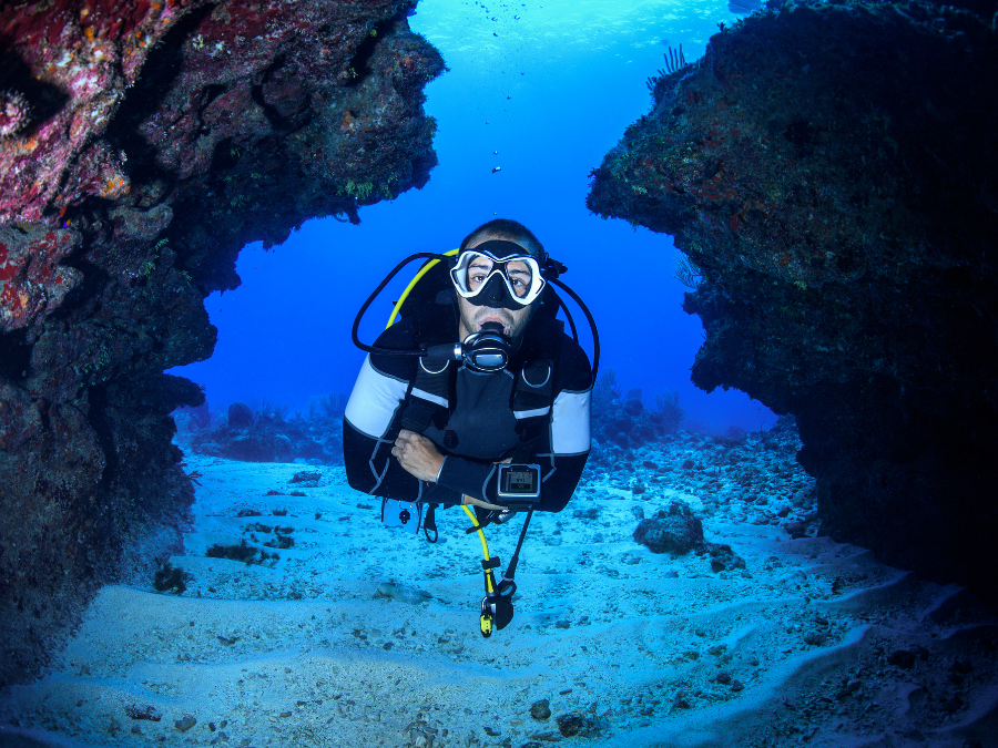 Plongée sous-marine aux Seychelles Explorez les plus beaux fonds marins