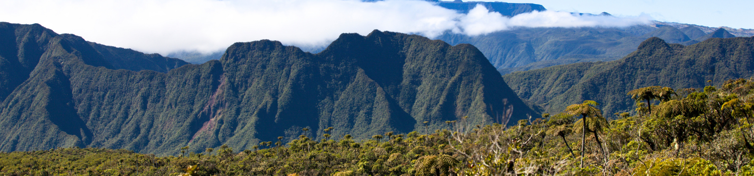 Sejour sur mesure Reunion (3)