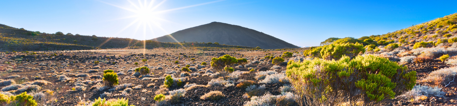 Sejour sur mesure uile de la reunion