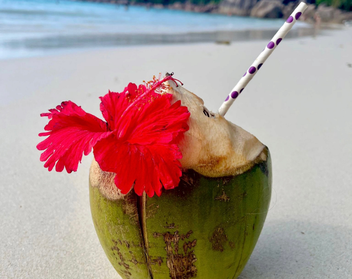 seychelles (12)