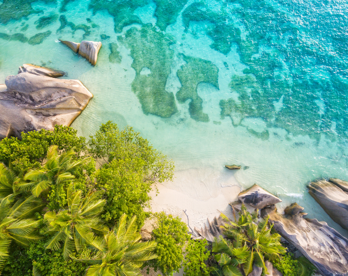 seychelles (4)
