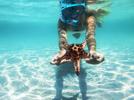 Snorkeling en Polynésie